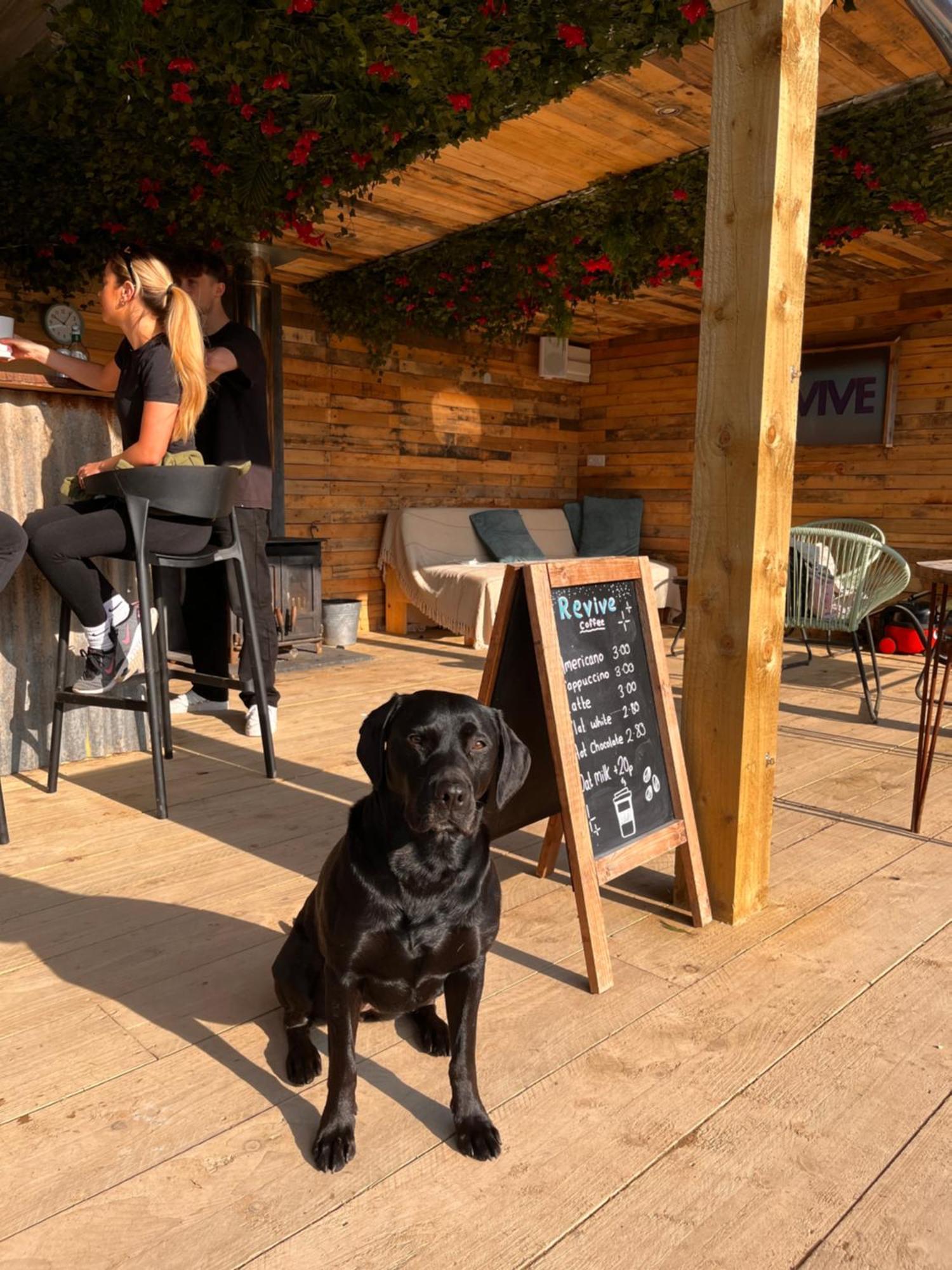 Rostrevor Mountain Lodge - Glamping Pods - Revive Sauna & Hot Tubs 外观 照片